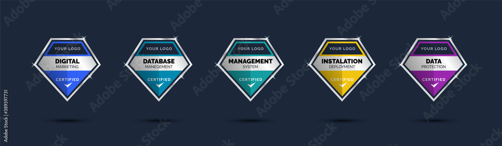 Certified of company training badge certificates to determine based on criteria. Set diamond corporate logo badge shiny colorful template. - obrazy, fototapety, plakaty 