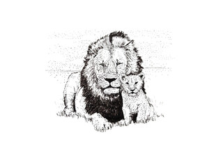 Father and son lions