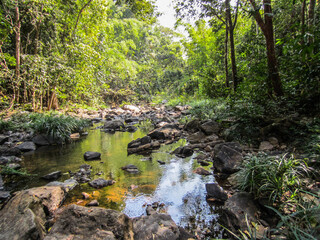 Virachey National Park jungle in Cambodia