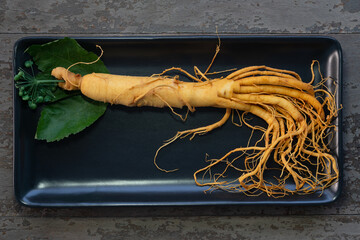 Wall Mural - Fresh ginseng root on black plate with green leaves and berries