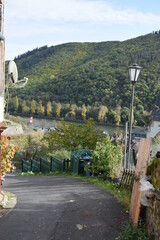 Poster - Dorfstraße im Moseltal, Klotten