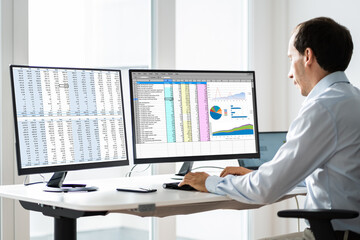 Poster - Analyst Employee Working With Spreadsheet