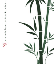 Vector Bamboo Background With Dark Green Bamboo Stems And Leaves. Isolated On White, Place For Text, Copyspace. Sumi-e Stylization. Oriental Art Stylization.