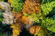 © naturenow - Luftaufnahme: Bayrischer Wald im Herbst