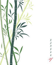 Vector Bamboo Background With Dark And Light Green Bamboo Stems And Leaves. Isolated On White, Place For Text, Copyspace. Oriental Art, Sumi-e Stylization