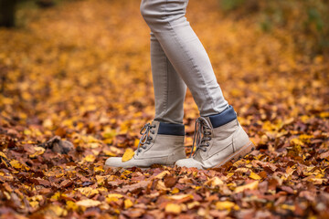 Wall Mural - walking with hiking boot in autumn leaves on footpath at forest