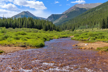 Summer Mountain Creek - Mineral-rich Geneva Creek running in a lush green valley at base of high peaks of Continental Divide, near Guanella Pass, Grant, Colorado, USA.