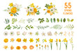 Spring garden flowers, yellow daffodil, mustard rose, white fresia, eucalyptus, greenery, fern