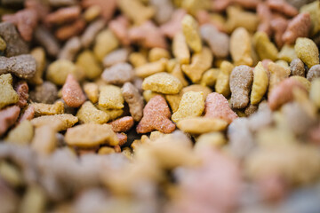 close up of cat food