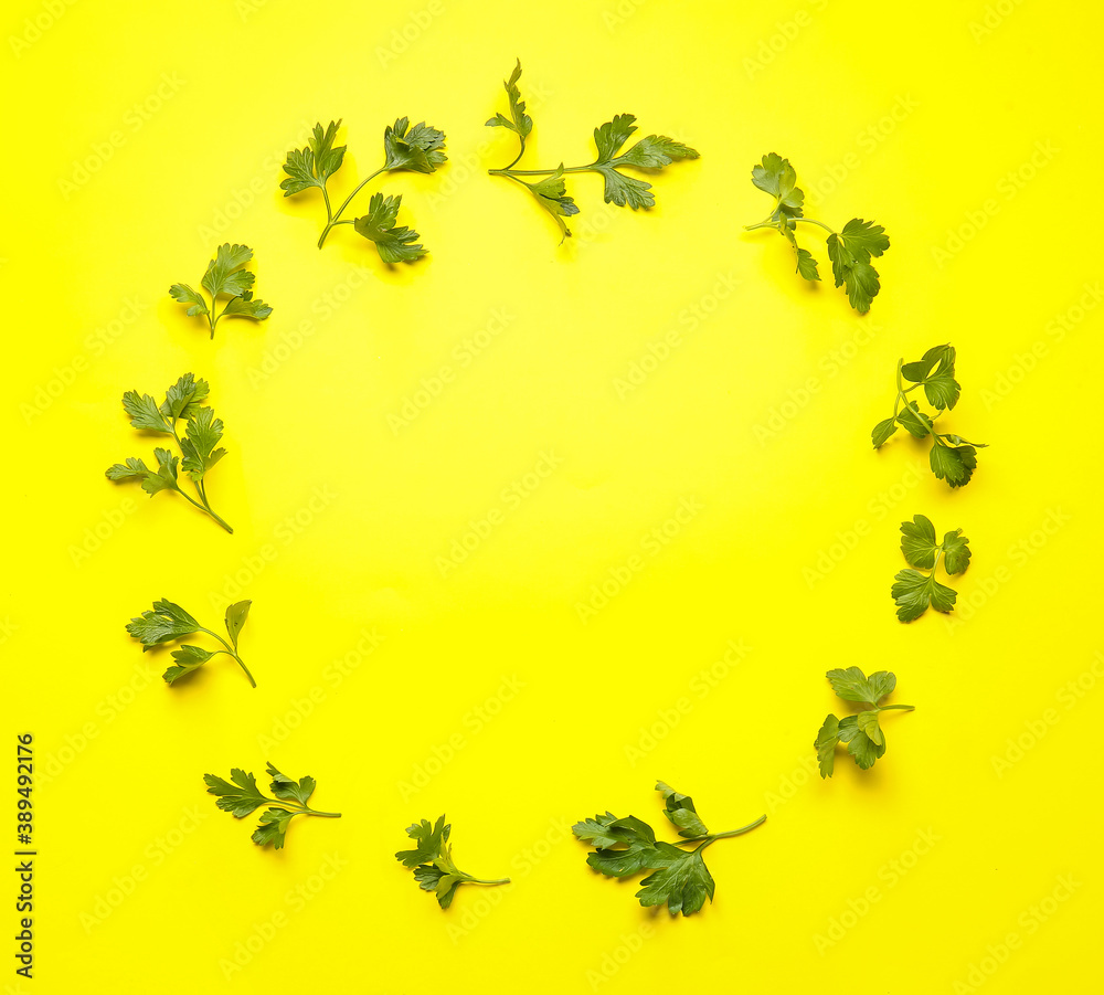 Frame made of fresh parsley on color background