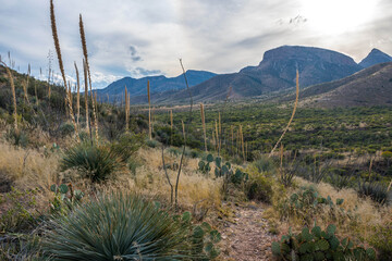 Wall Mural - An overlooking view of Kartchner Caverns NP, Arizona