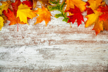 Wall Mural - Colorful collection of maple and oak leaves on a textured surface in autumn