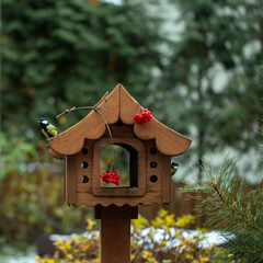 bird feeder in autumn, autumn garden birds peck food from bird feeder