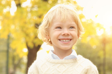 Wall Mural - Cute little boy in autumn park