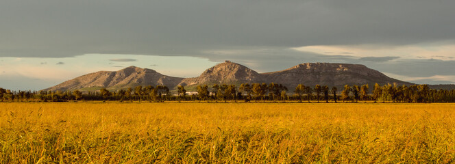 Vista del Montgrí con el campo de arroz está seco y de color dorado, listo para recolecta. La foto tomada durante la puesta de Sol cerca de Pals, Baix Empordà, Girona, Cataluña, España