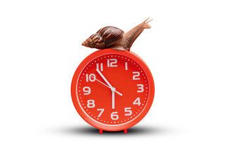 Snail clock isolated on white background: planning and waiting concept