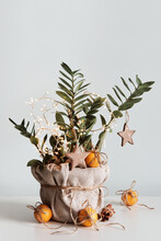 Houseplant Christmas Tree. Sustainable Gift Boxes And Tangerines. Eco Christmas Decor