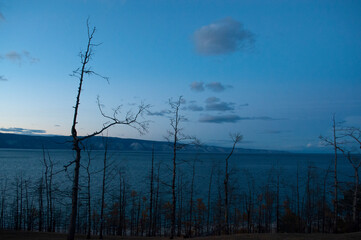 baikal lake fresh water flora shore reserve russia irkutsk park island sky clouds clear olkhon rocks