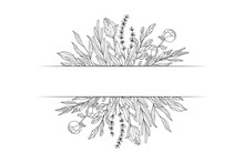 Floral Border With Branches, Flowers And Herbs. Elegant Leaf Invitation Decor For Wedding Card. Vector Isolated Spring Flourish Frame.