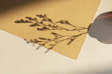 Wall Mural - Beige blank card design element