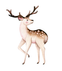  Christmas watercolor deer. Cute kids xmas fawn forest animal illustration, new year card or poster.