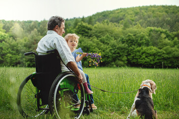 Wall Mural - Small girl with senior grandfather in wheelchair and dog on a walk on meadow in nature.