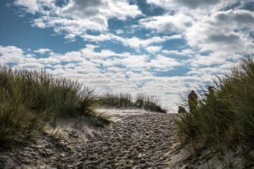 Spuren im Sand