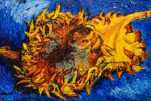 Sunflower, Oil Painting On Canvas. Free Copy Based On The Painting By The Great Artist Vincent Van Gogh, Two Cut Sunflowers III, 1887