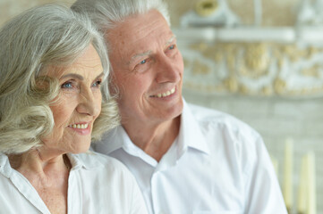 Sticker - Portrait of happy beautiful senior couple posing at home