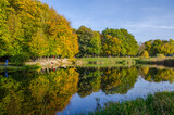Fototapeta Łazienka - Landscape with autumn park in the sunny day. Yellow and green trees are displayed with reflection on the lake.
