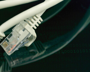 Poster - Closeup of LAN network connection ethernet cable