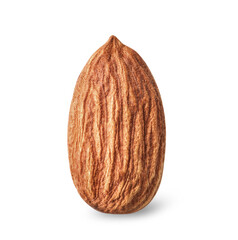 Canvas Print - Single almond nut