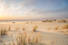 Sand Dunes In Kaliningrad. Natural Background. Sunrise.