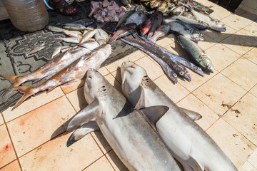 Fish market in Hodeida