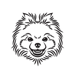 Wall Mural - Pomeranian dog face - isolated vector illustration
