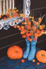 Autumn composition with orange pumpkins and bouquet of fresh physalis in old blue rain boots