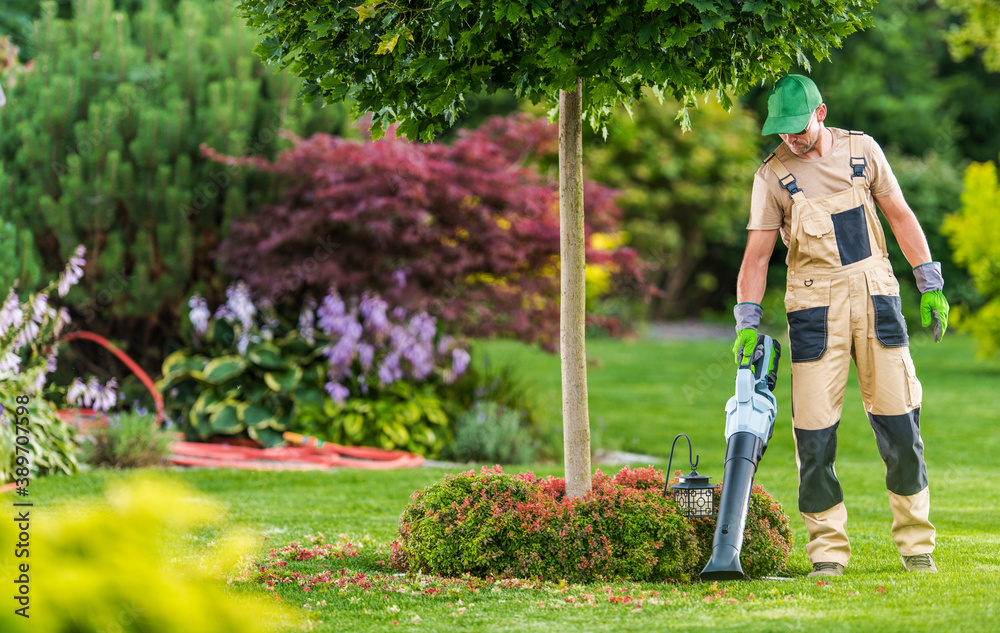 Men with Leaf Blower Cleaning Backyard Garden - obrazy, fototapety, plakaty 