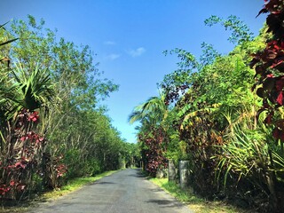 Roadtrip auf Réunion