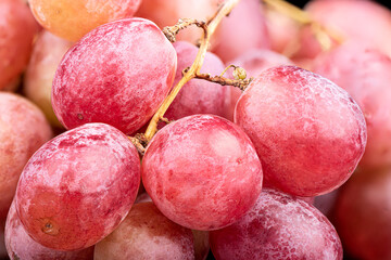 Selective focus of berries of a bunch of ripe red grapes.