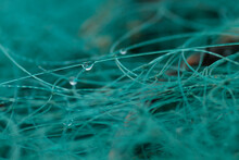 Fishnet Close Up