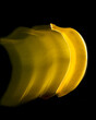 Yellow banana on black background. Abstract, creative food concept. 