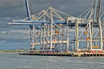 Poster - AUCKLAND, NEW ZEALAND - Mar 13, 2019: Ports of Auckland cranes ready for a new container ship