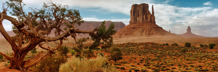 Wall Mural - monument valley. navajo tribal park, usa.