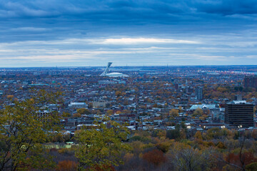 Wall Mural - Est of Montreal in autumn