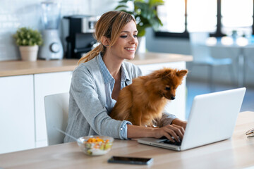 Sticker - Cute little dog looking the laptop while her owner working with him in the kitchen at home.