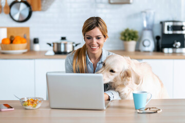 Sticker - Beautiful lovely dog looking the laptop while her smiling owner working with him in the kitchen at home.