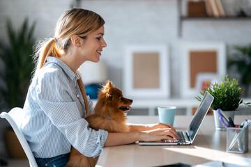 Lovely little dog looking the laptop while her beautiful owner working with him in living room at home.