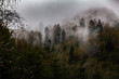 Bieszczadzki las we mgle, Polska