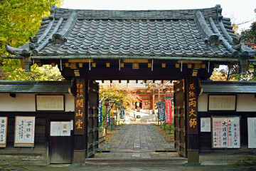 Wall Mural - 東叡山寛永寺・開山堂　山門