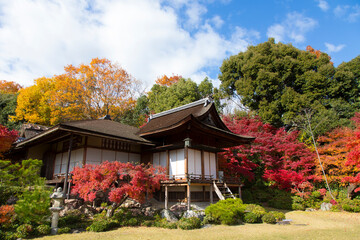 Canvas Print - 秋の京都大河内山荘